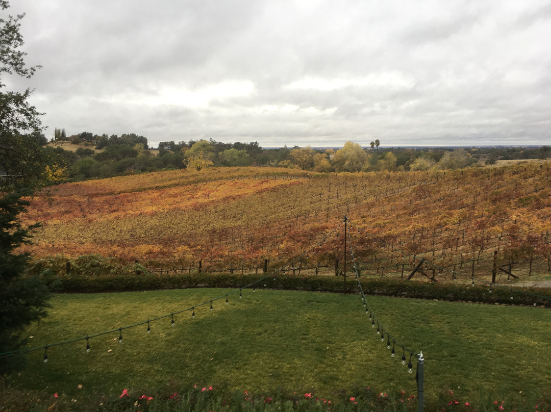 Wise Villa Winery景点图片