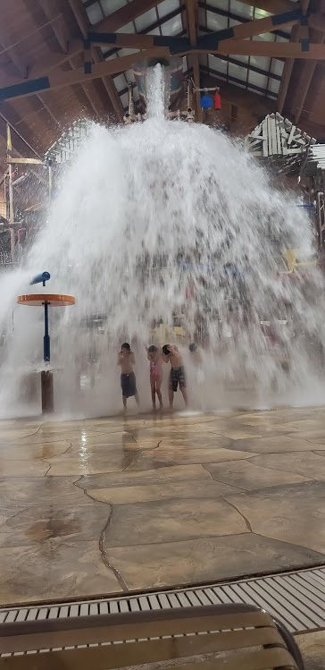 特拉弗斯城大灰狼洛奇酒店主图