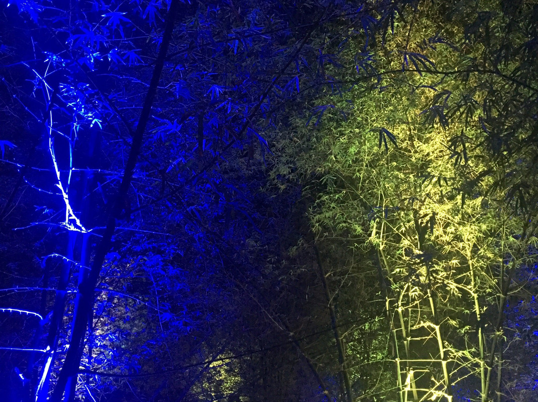 Bambusetum Park-Ligao必去景点