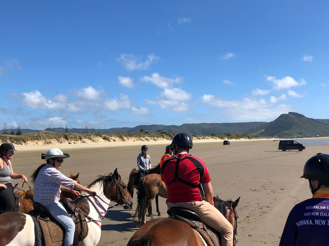 Ahipara Horse Treks-Ahipara必去景点
