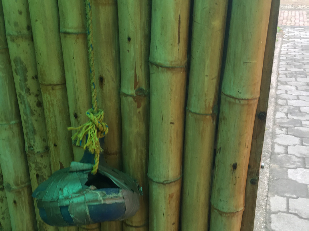 Rincon d’Olon主图