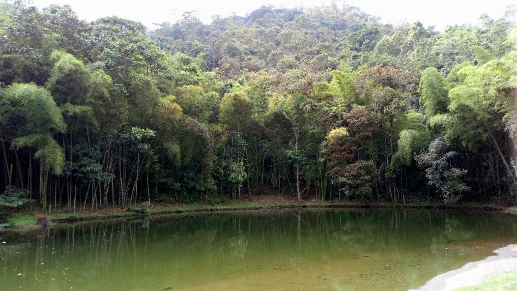 El Topacio-卡利必去景点