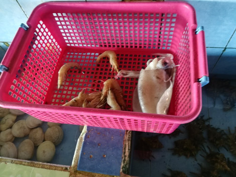 Talima Marine Sanctuary-峨兰哥岛必去景点