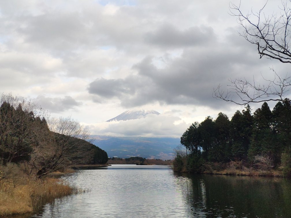 Lake Tanuki景点图片