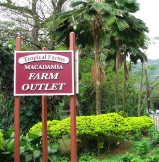 热带农场,澳洲坚果农场之旅-卡内奥赫必去景点