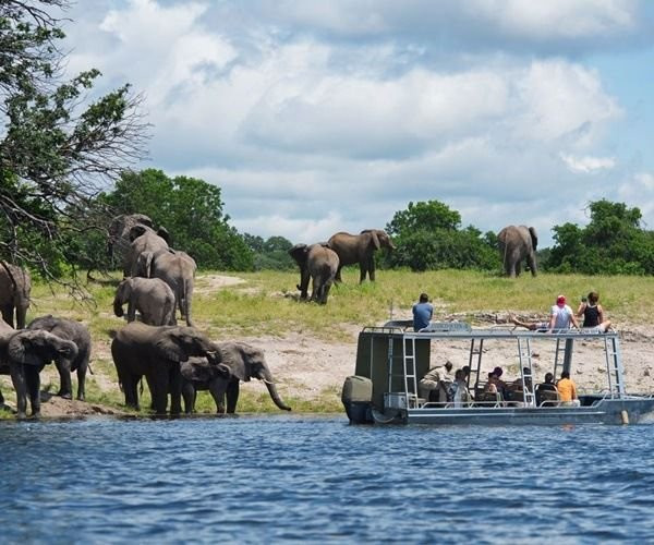 Cape Hills Tours and Transfers-开普敦必去景点