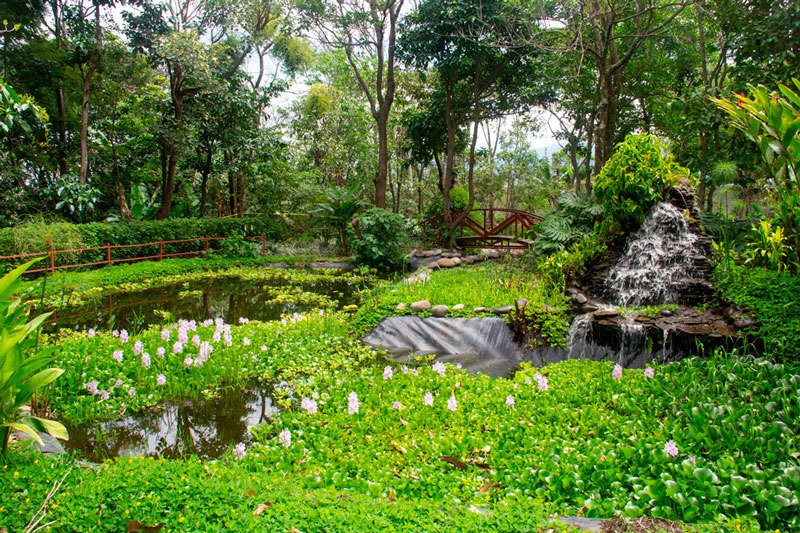 Itarar Ecological Park景点图片