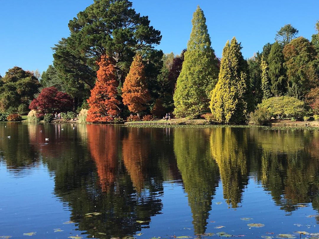 Sheffield Park and Garden景点图片