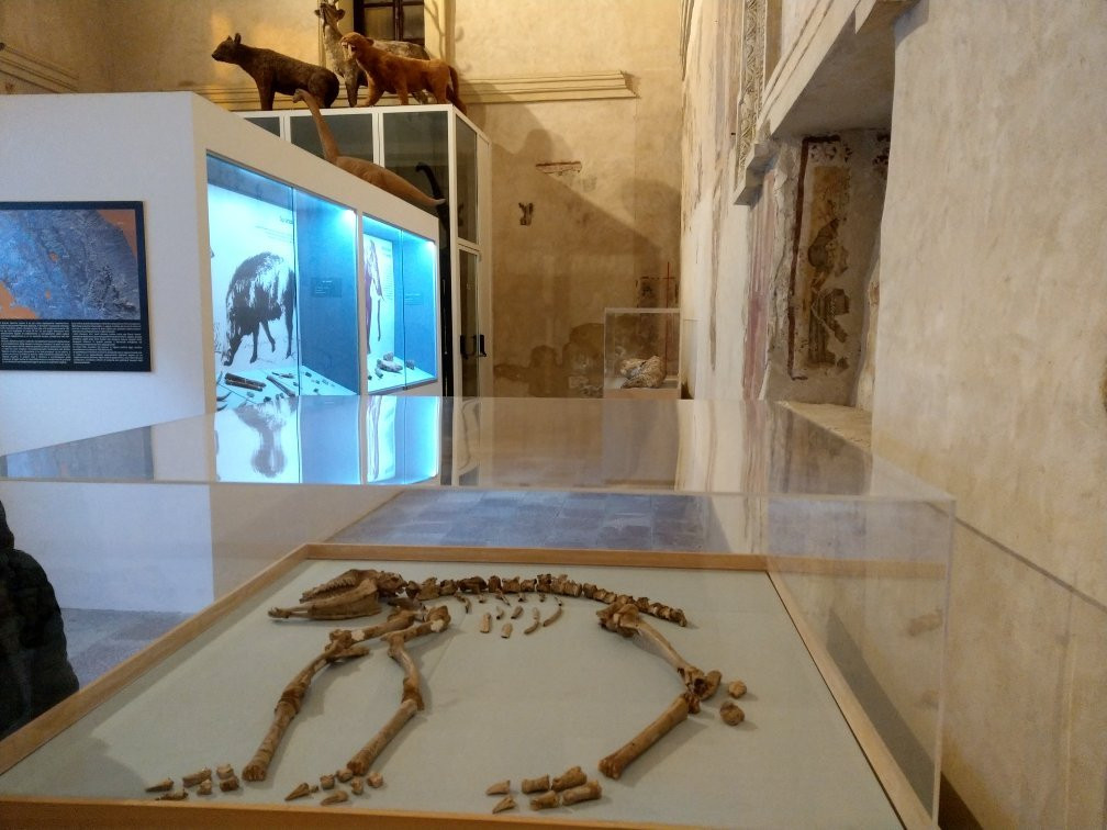 Paleolab - Museo delle Raccolte Paleontologiche dell’Umbria Meridionale景点图片