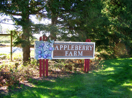 Appleberry Farm-麦迪逊必去景点