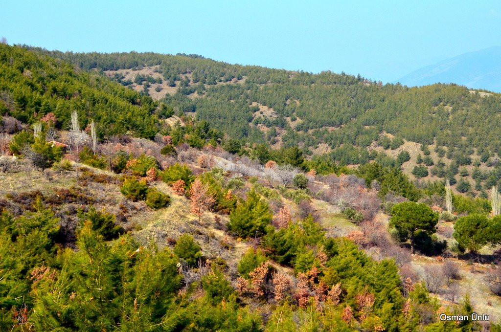 Caglayan Tabiat Parki景点图片