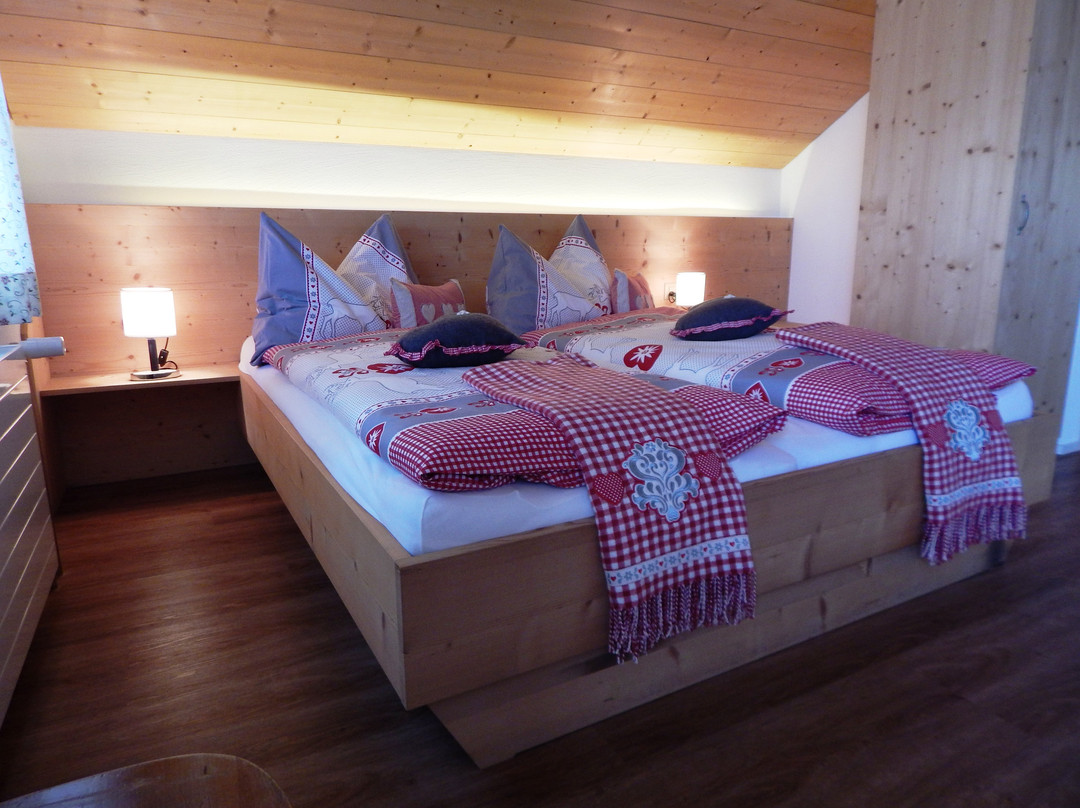 Hotel Cualmet - Alpine Garni主图