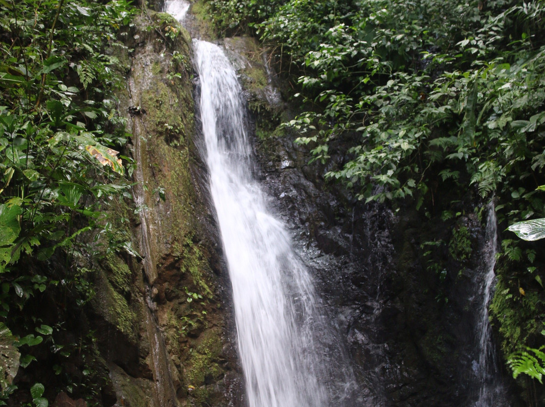 Piedras Blancas National Park景点图片