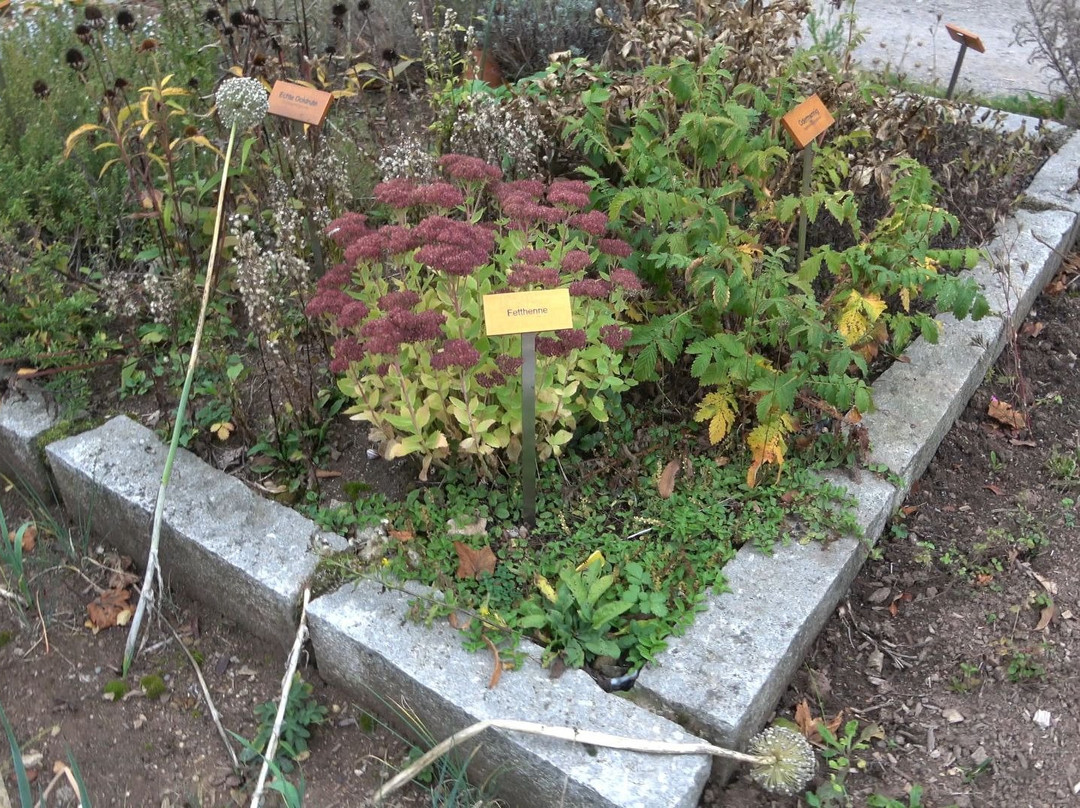 Kloster Museum-Sankt Margen必去景点
