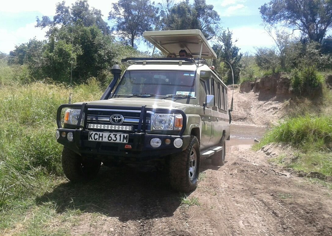 Safari and Excursions-瓦塔木必去景点