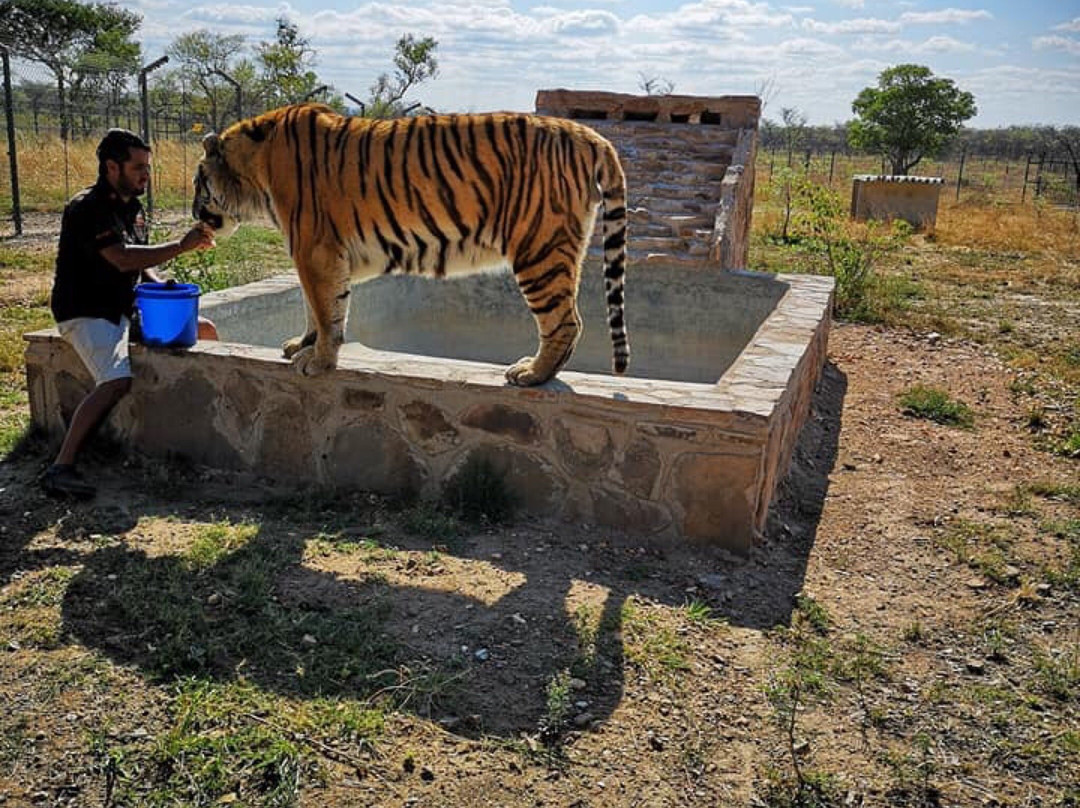 Jugomaro Predator Park 2.0-瓦尔沃特必去景点