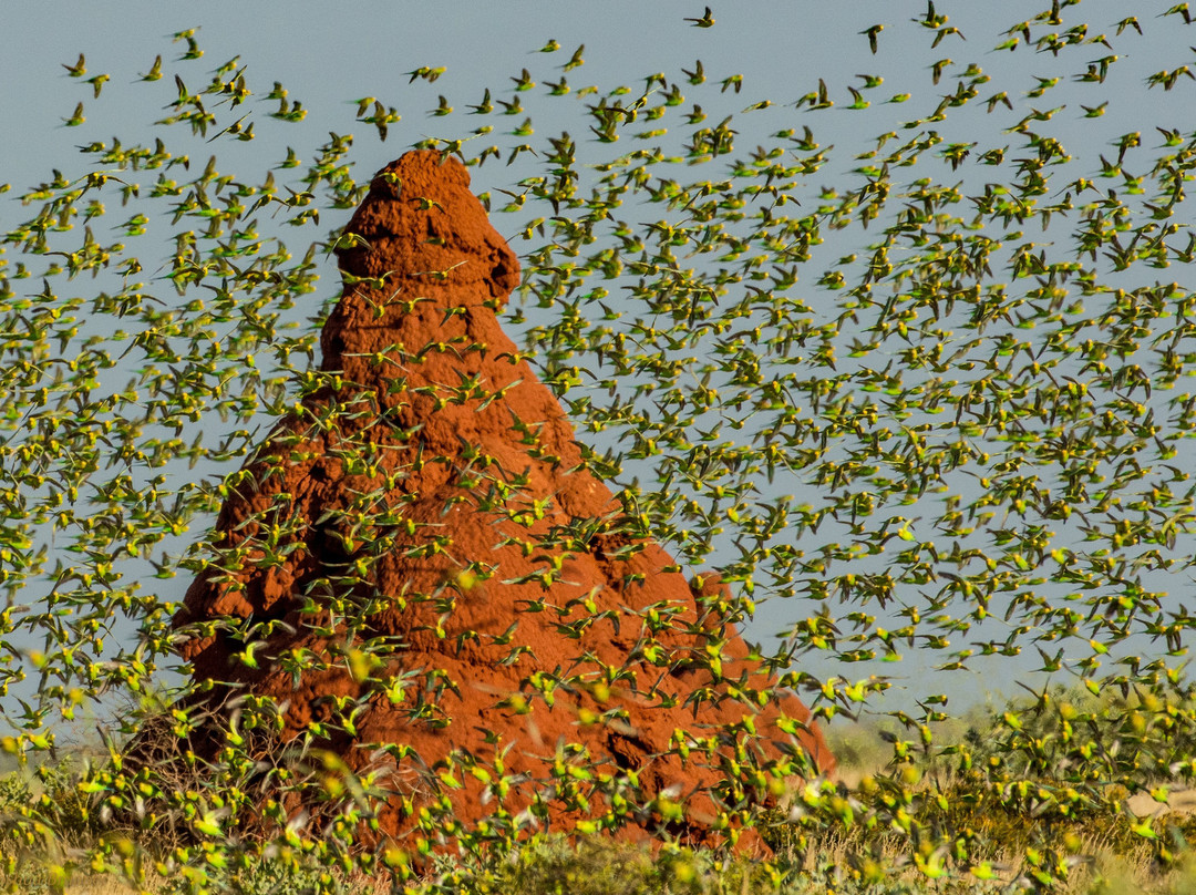Onslow Visitors Centre-Onslow必去景点