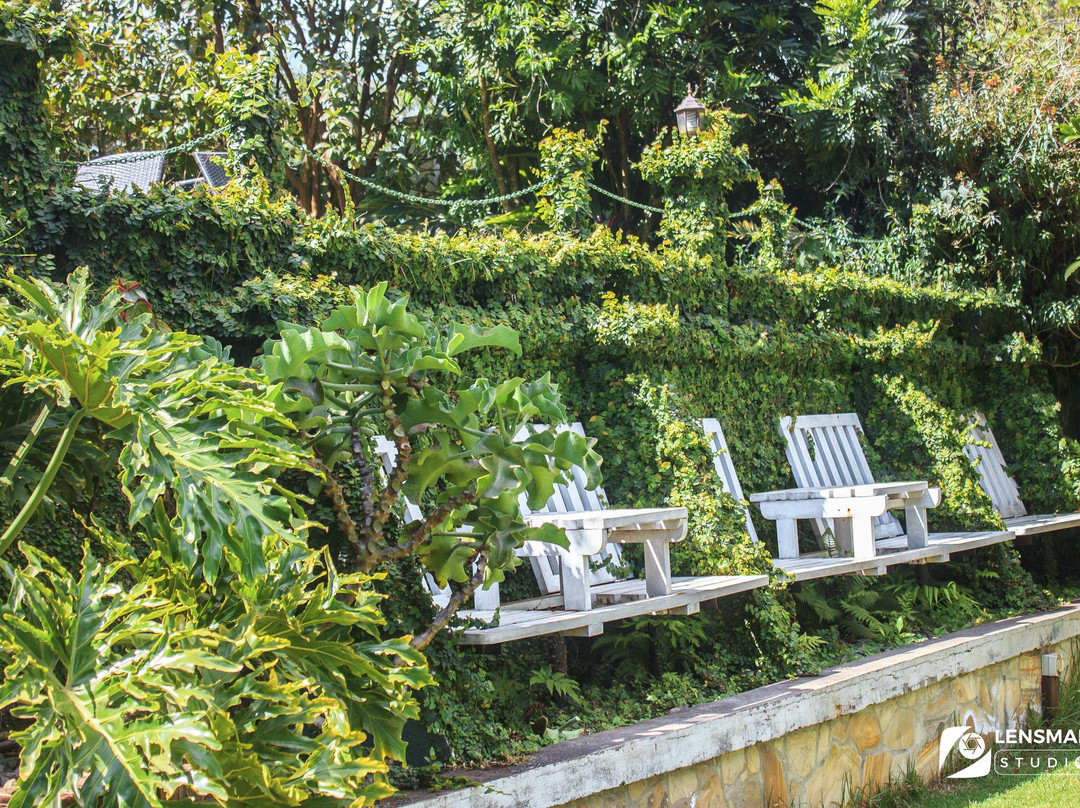 Themi Falls Leisure Park-阿鲁沙必去景点