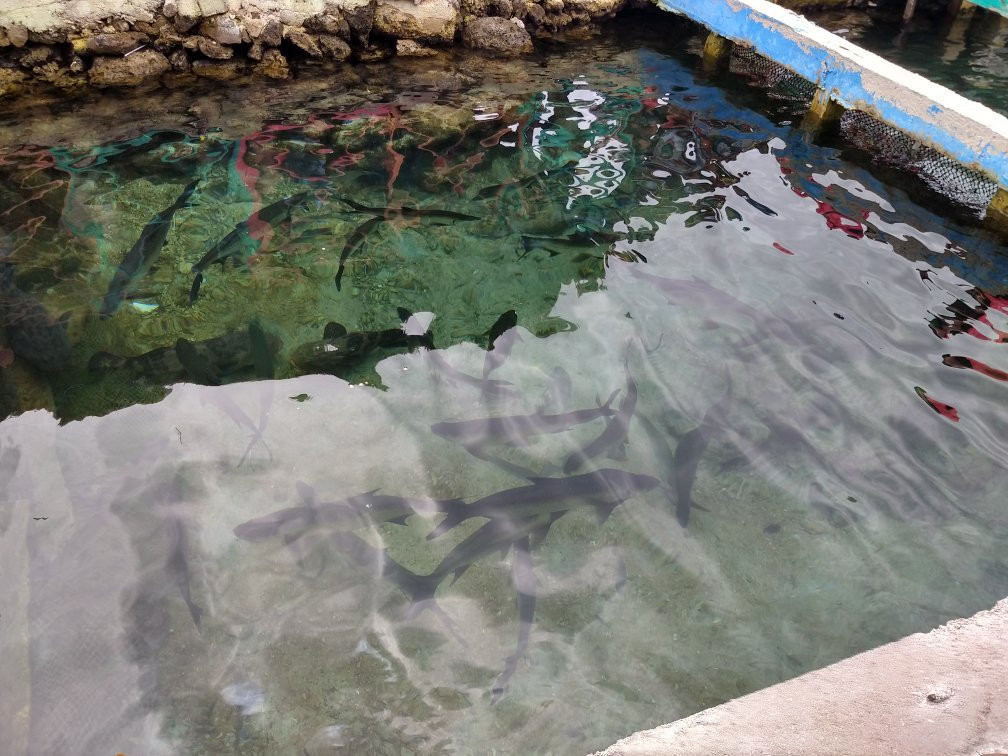 Covenas旅游景点-Archipelago Of San Bernardo