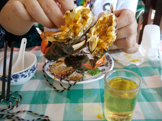 莲花岛-苏州市必去景点