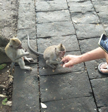 Tuti Bali Driver-登巴萨必去景点