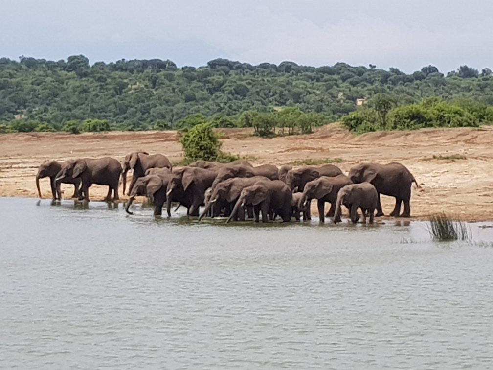 The Great Trekkers Safaris-恩德培必去景点