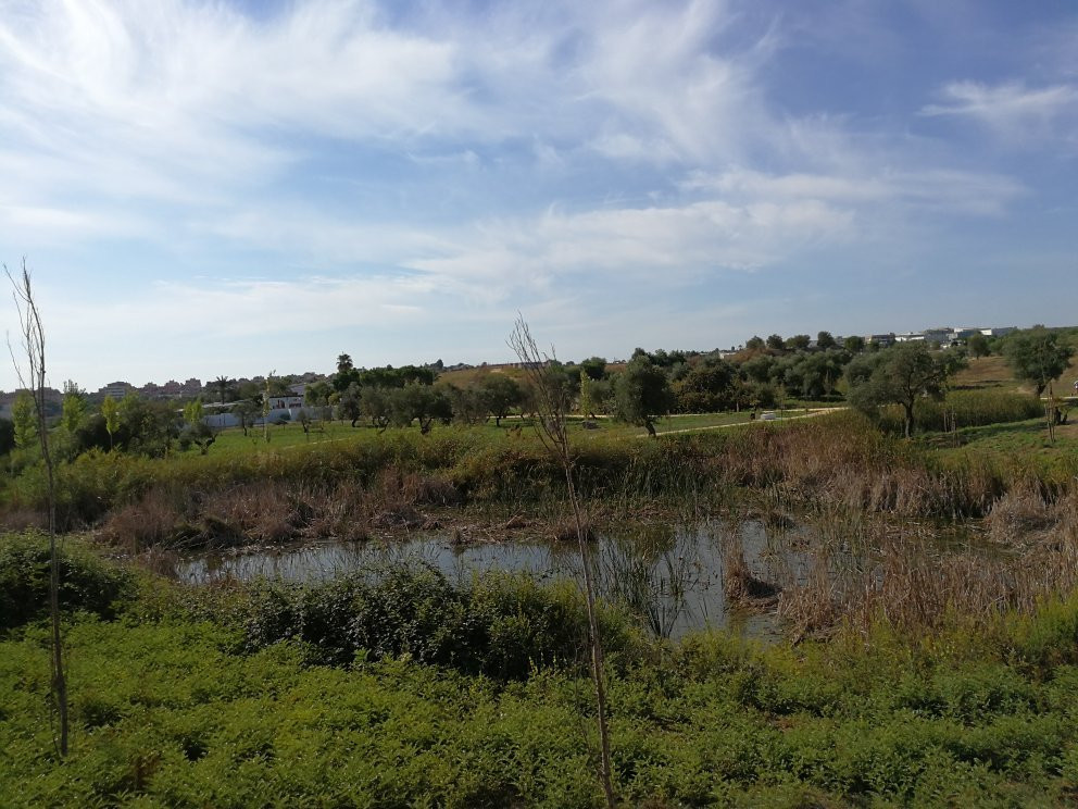 Parque Olivar del Zaudin景点图片