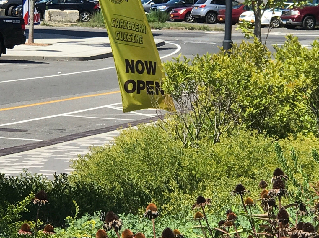 Wheatley Heights餐馆和美食-Island Jerk