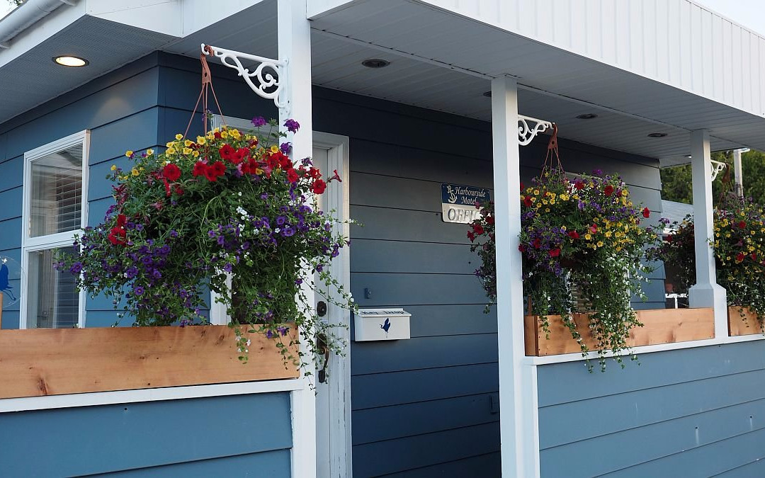 Harbourside Motel主图