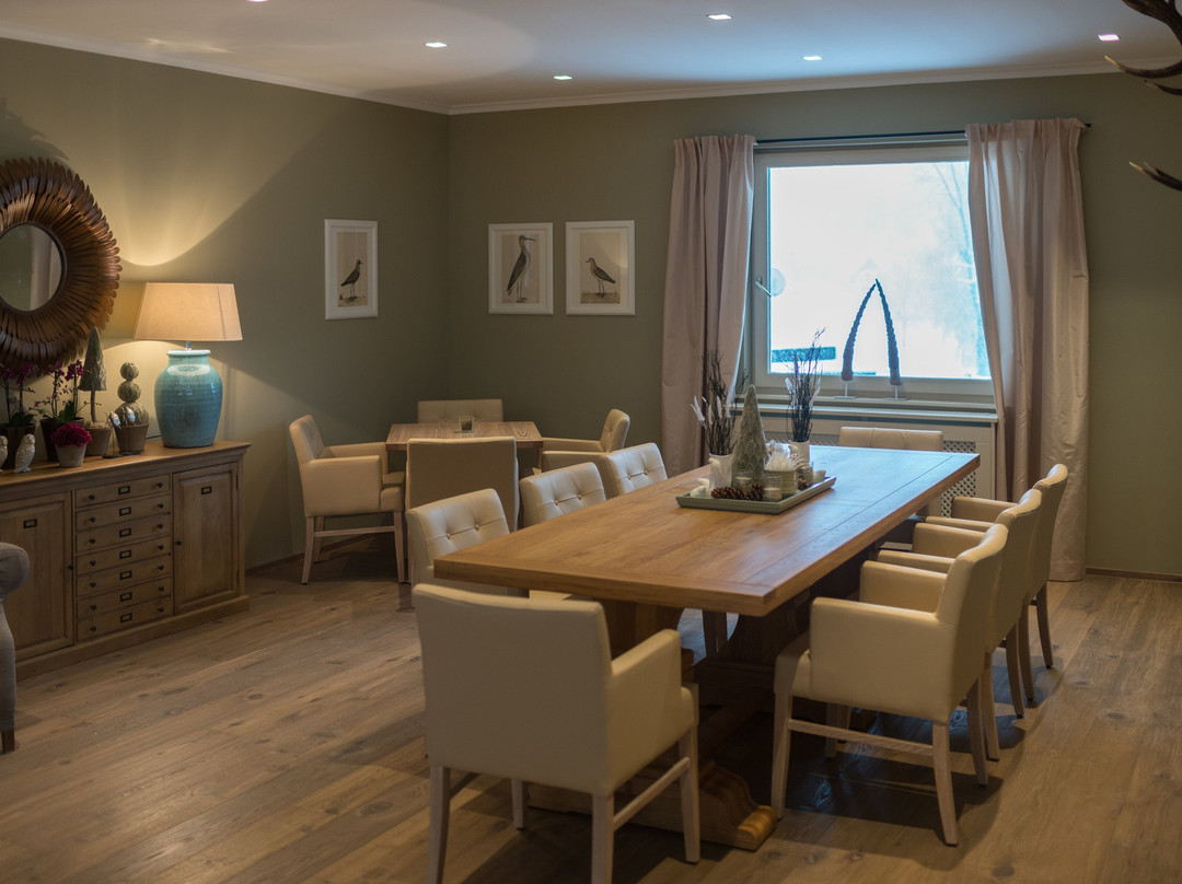 The Original FX Mayr主图