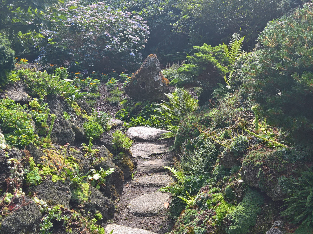 Botanischer Garten Christiansberg景点图片