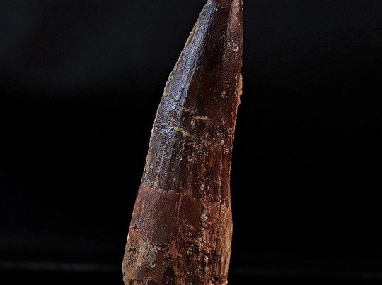 Naturens Mangfold & All Verdens Mynter-奥斯陆必去景点