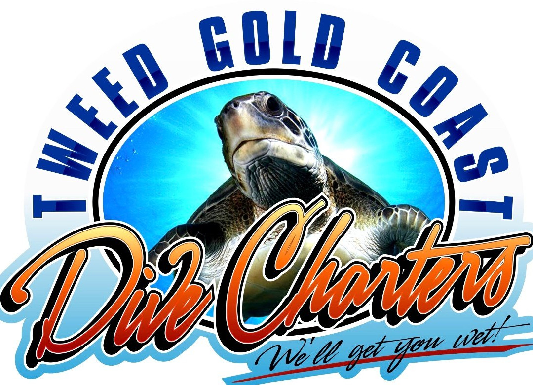 Tweed Gold Coast Dive Charters-堤维德岬必去景点
