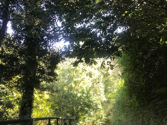 Ferveda de San Paio-Entrecruces必去景点