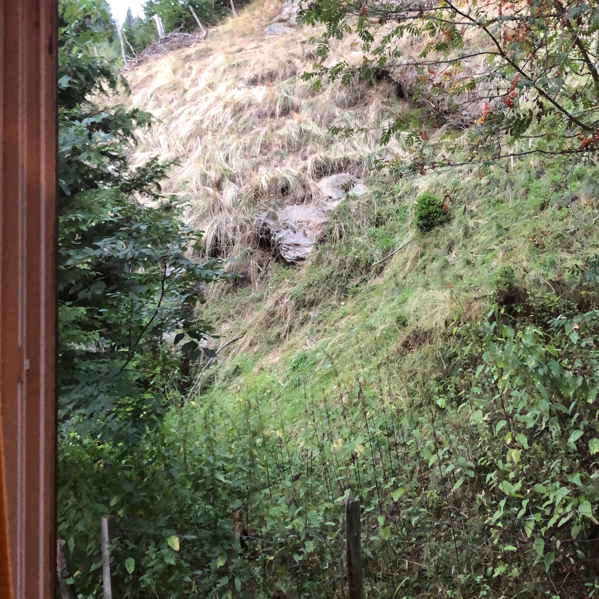 Gasthof Klammer-官方