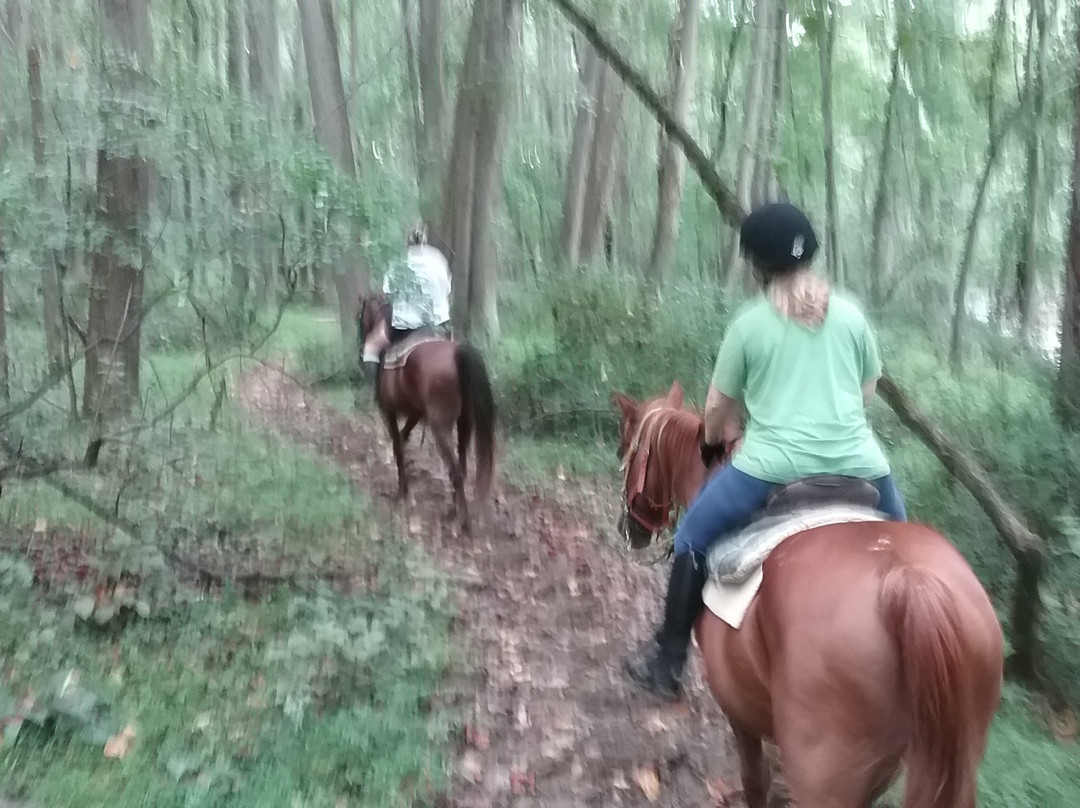 Misty Manor Riding Stables-Marriottsville必去景点