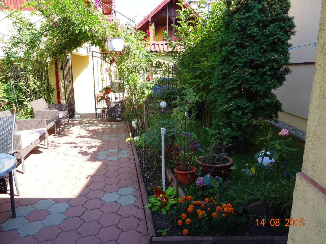 Pensiunea Magnolia主图