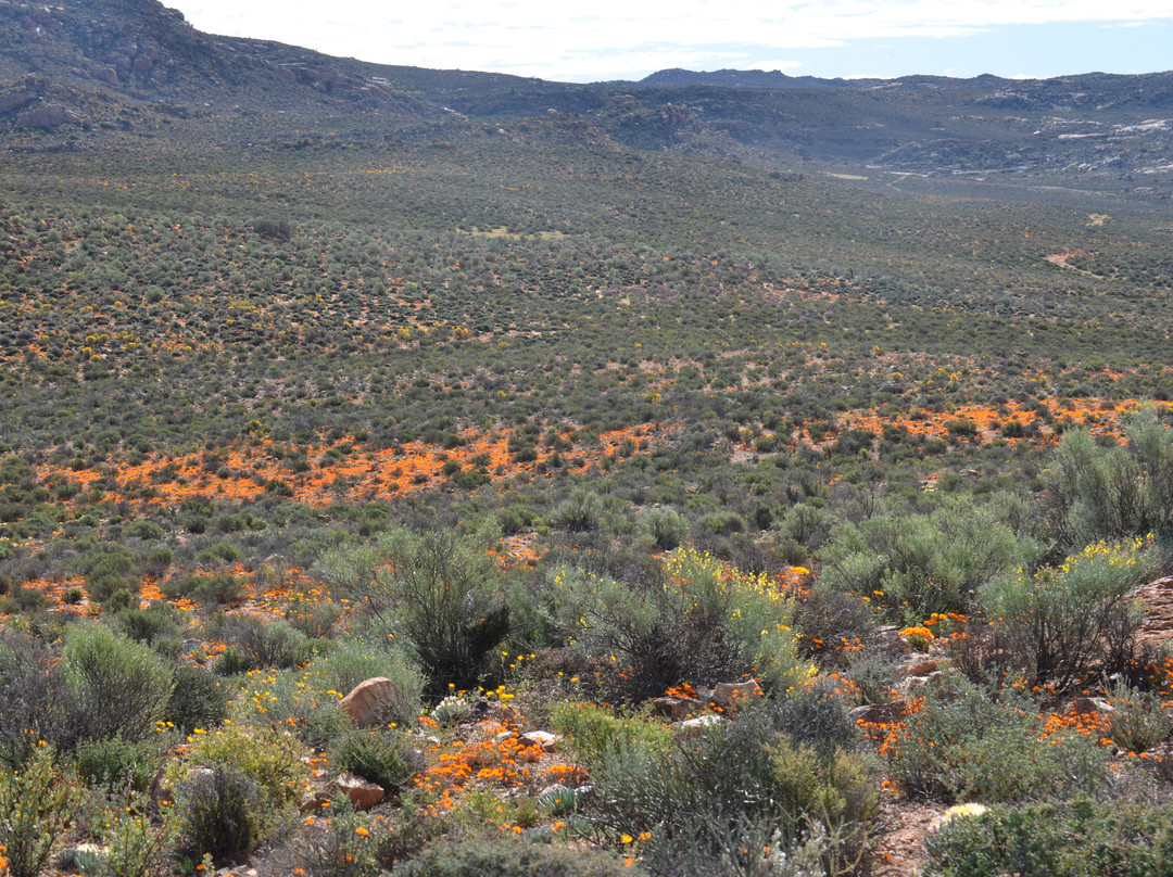 Goegap Nature Reserve景点图片