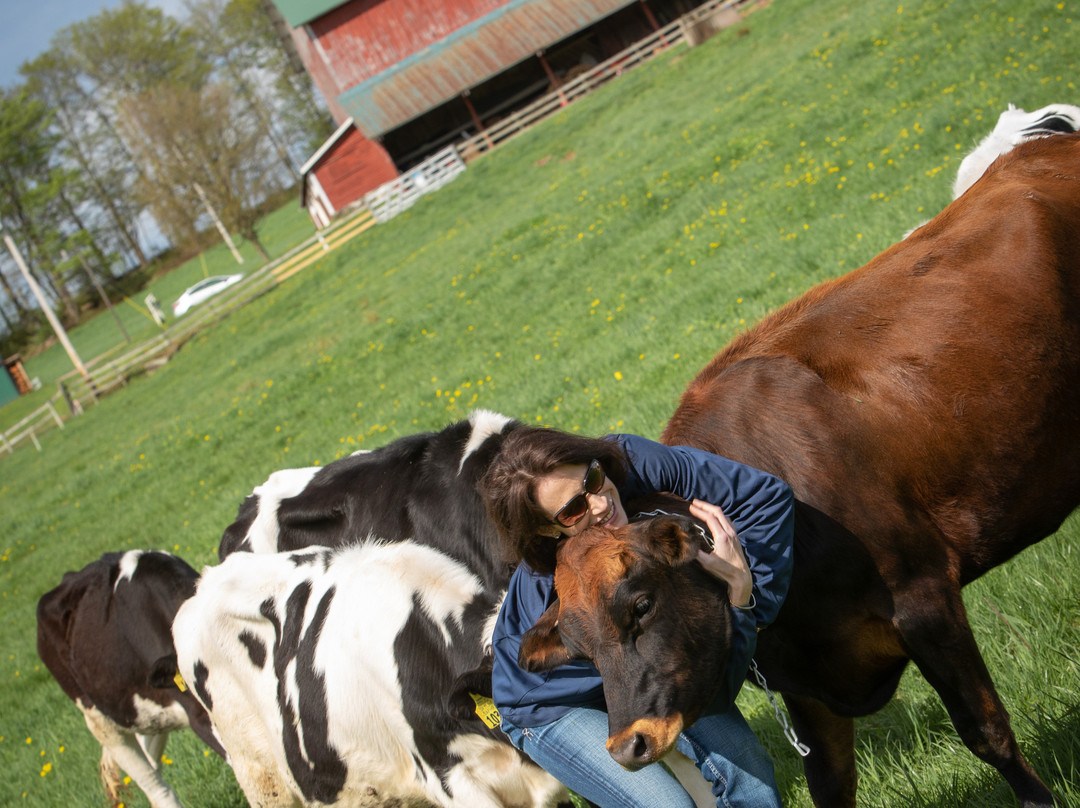 Mountain View Dairy-Bloomville必去景点