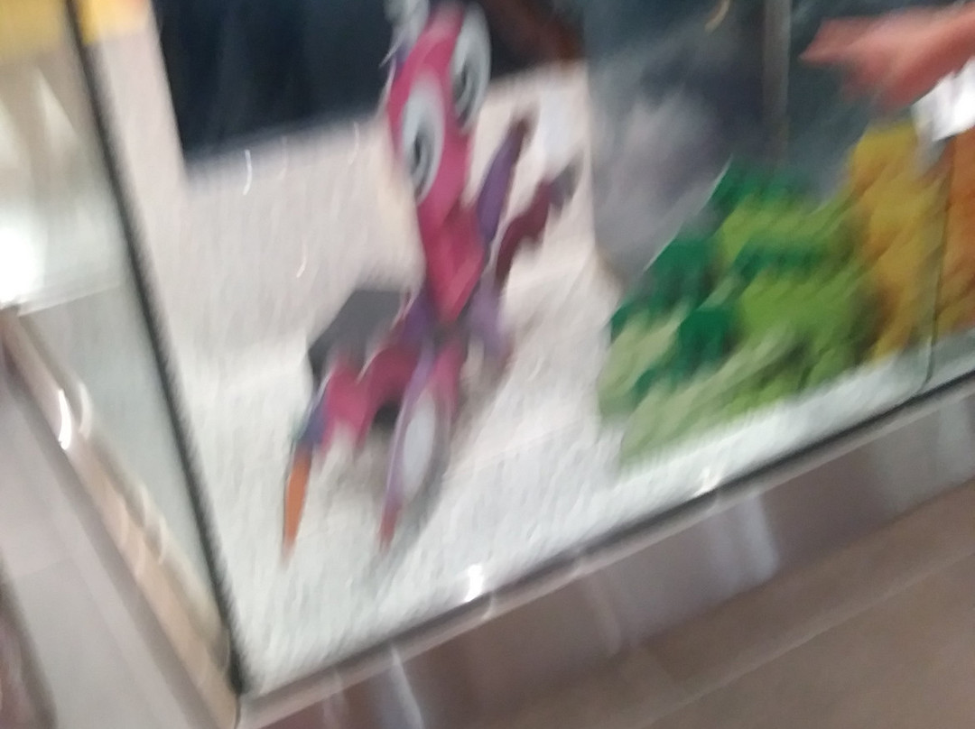 Fashion Place Shopping Mall-穆雷必去景点