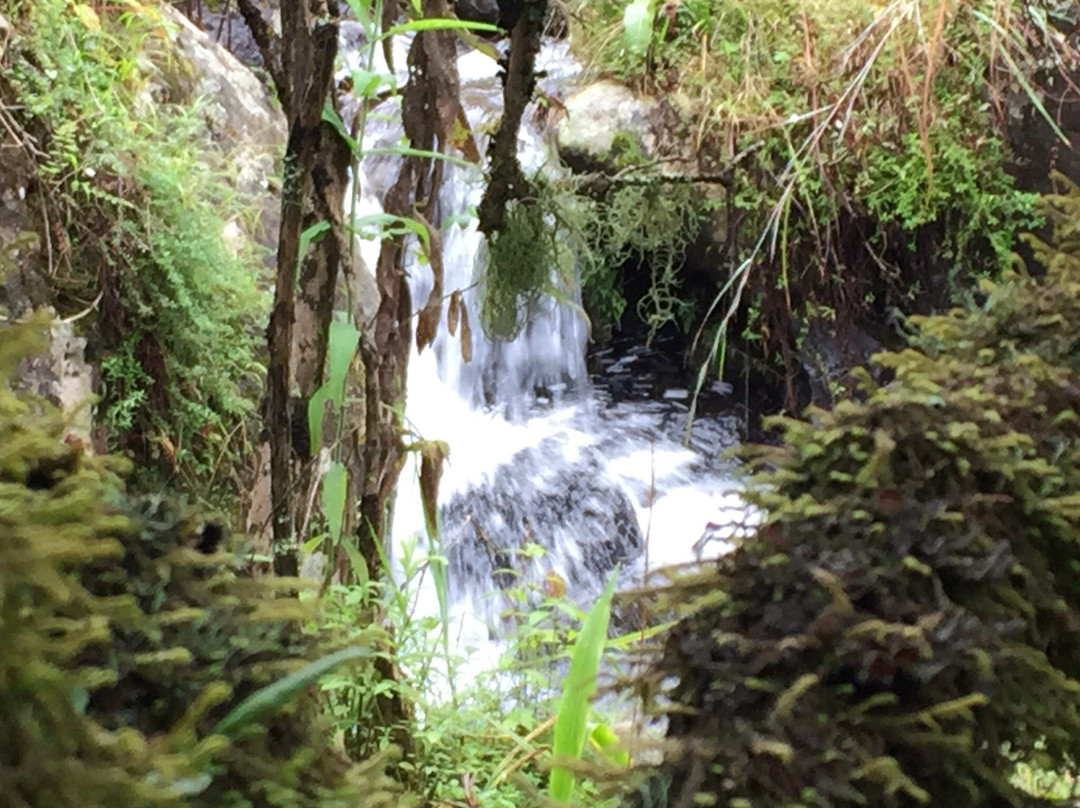 Maloti Drakensberg Park景点图片