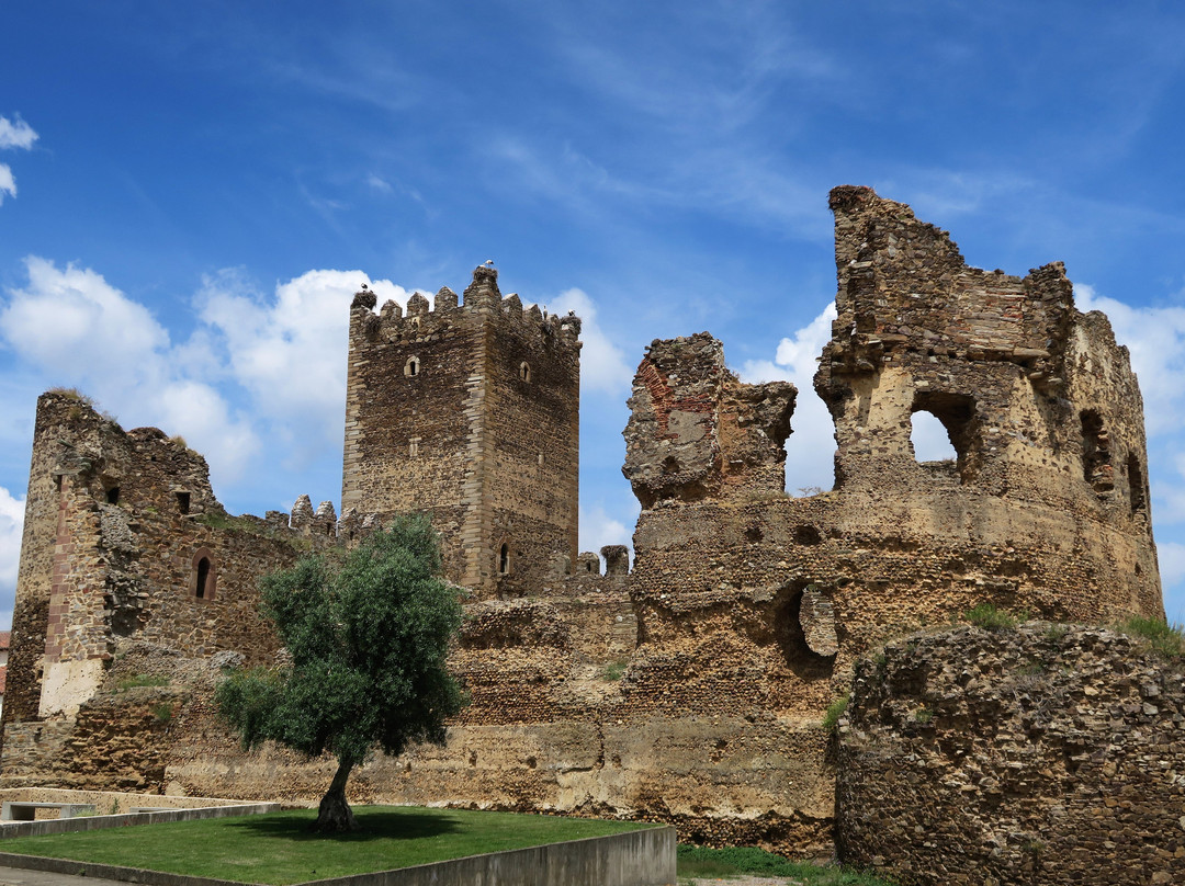 Castillo de Laguna de Negrillos景点图片