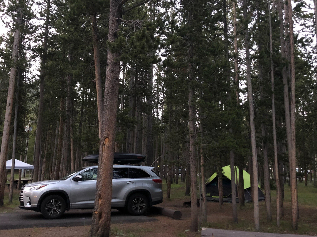 曼迪逊露营地主图