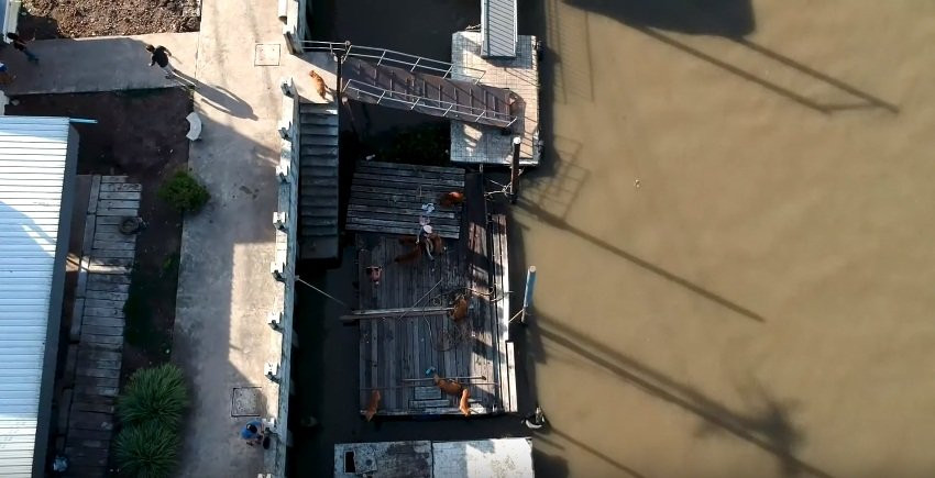 Wat Yai Sawang Arom-北革必去景点