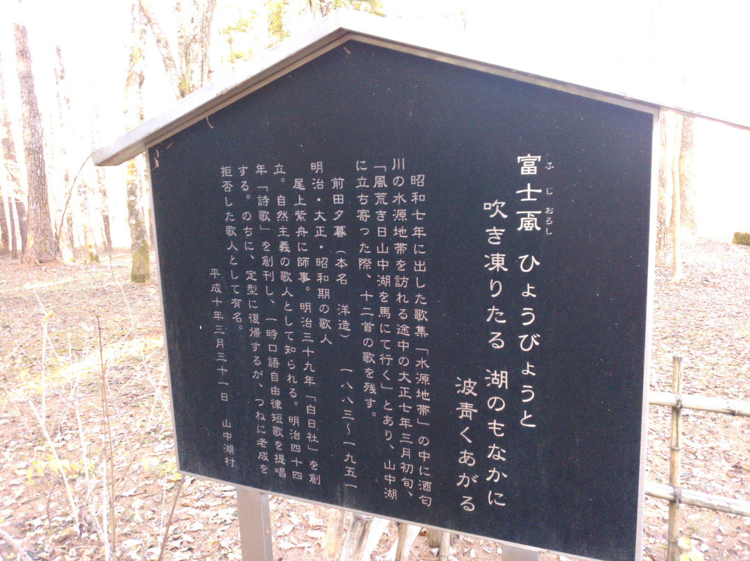 Yamanakako Bungaku no Mori Park景点图片