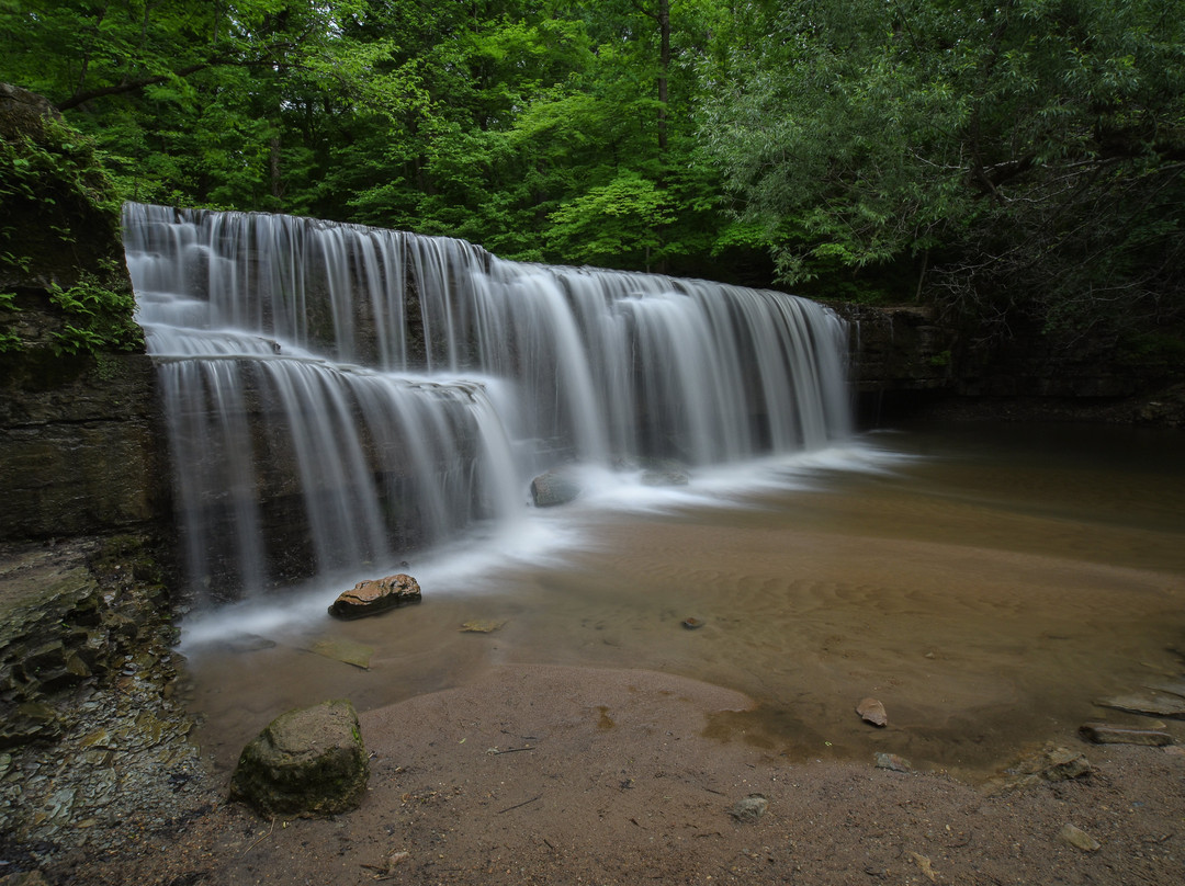 Nerstrand Big Woods State Park景点图片