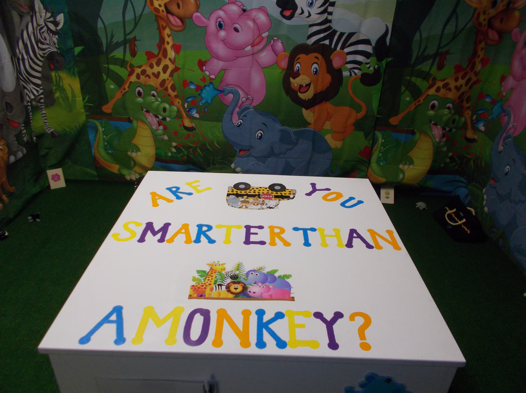 Xscape Our Rooms-圣奥古斯丁必去景点