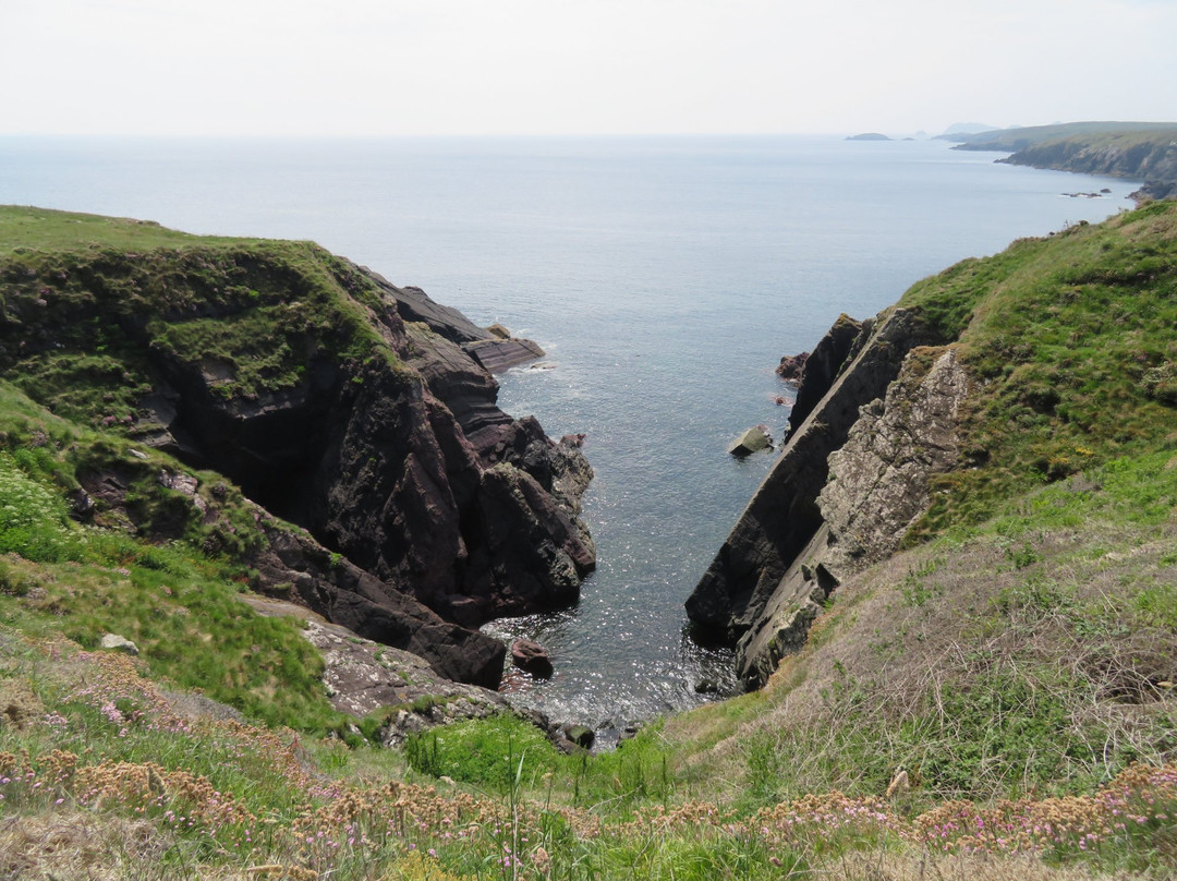 Pembrokeshire Coast Path景点图片