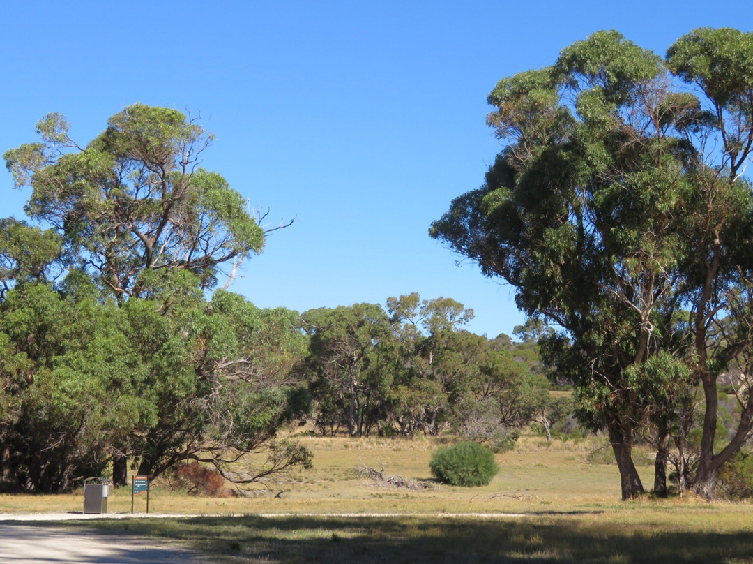 Cambridge旅游攻略图片
