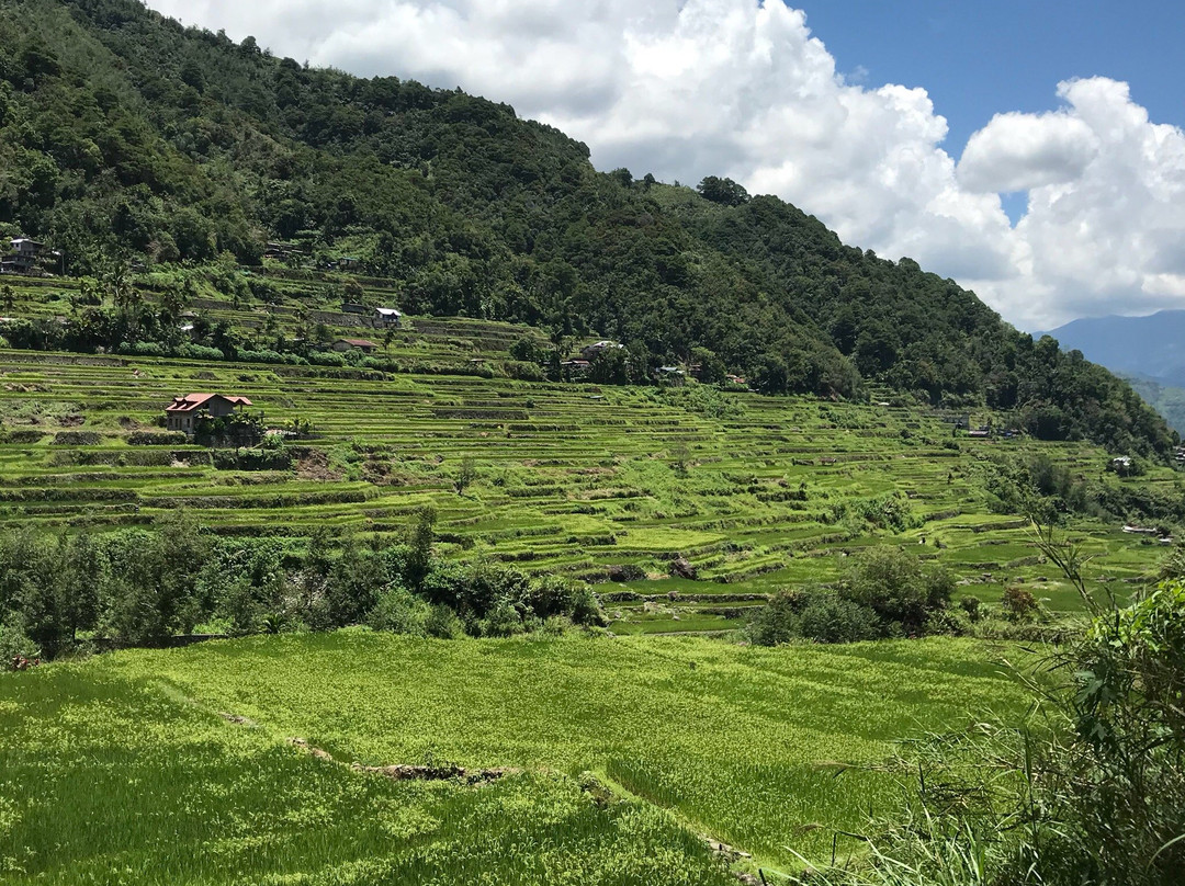 Hungduan Rice Terraces-Hungduan必去景点